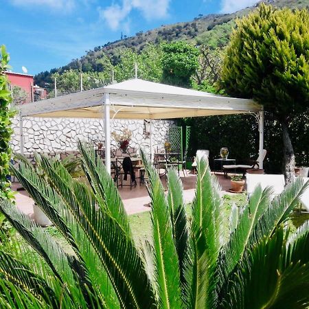 Villa Alessandro - Anacapri Bagian luar foto